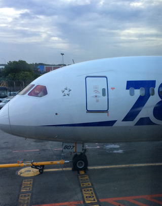 ������Ǥ�売���ܤε��� - �������֣Σȣ���������--ANA BUSINESS CRADLE(787����)�פΥӥ��ͥ����饹