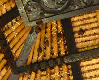 �Х��� �ĥ꡼ �ӥ󥿥� ��BANYAN TREE BINTAN�˵Ҽ��� ������ɥͥ������ӥ󥿥���