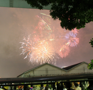 第22回東京湾大華火祭を見る。
