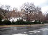 N.Y.のセントラル・パーク(Central park)