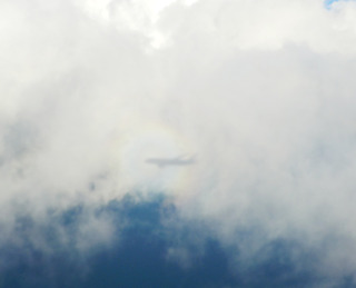 ������Ǥ�売���ܤε��� - �������֣Σȣ���������--ANA BUSINESS CRADLE(787����)�פΥӥ��ͥ����饹