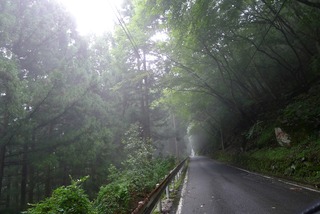 ホテル祖谷温泉 @祖谷渓谷