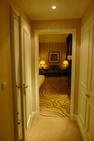 �� ���ǥ����� �ѡ����ۥƥ� (Le Meridien Parkhotel Frankfurt)