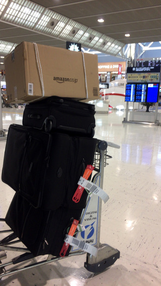 ������Ǥ�壳���ܤε��� - ���ܹҶ���JL729���ؤΥӥ��ͥ����饹