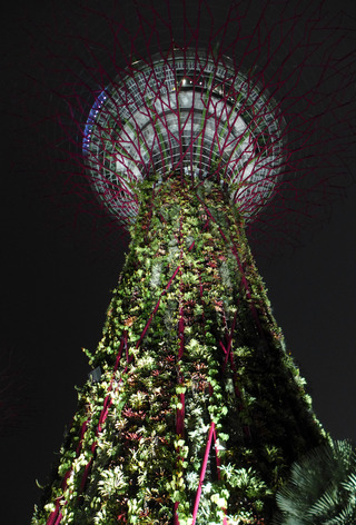 スーパーツリーの最上階のレストラン・バー「SuperTree by IndoChine」 @シンガポール・ガーデンズ・バイ・ザ・ベイ