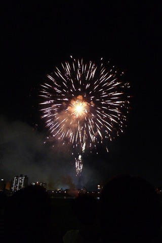 2013 �ߤ䤶��Ǽ�òֲ���� ���ܺꡦ������褤