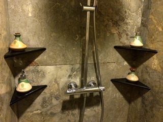 �Х��� �ĥ꡼ �ӥ󥿥� ��BANYAN TREE BINTAN�˵Ҽ����� ������ɥͥ������ӥ󥿥���