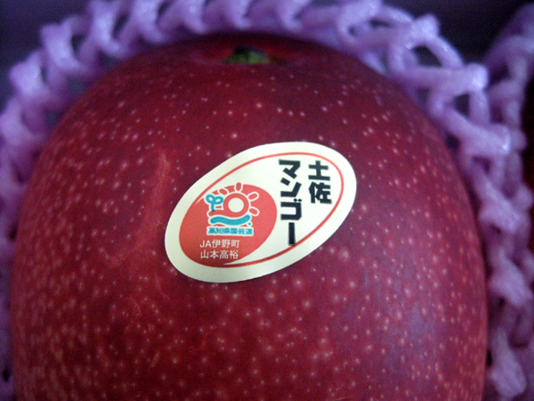 四国・南国・高知県産「アップル土佐完熟マンゴー」アーウィン種