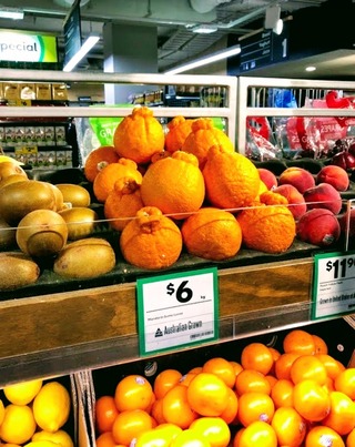 ���ܥ��δѸ�̾������ܥ�󡦥������ȥ�ꥢ