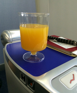 ������Ǥ�売���ܤε��� - �������֣Σȣ���������--ANA BUSINESS CRADLE(787����)�פΥӥ��ͥ����饹