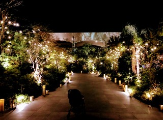 ��ǯ�֤�Υե��˥å������������������꥾���� ���ܺ�