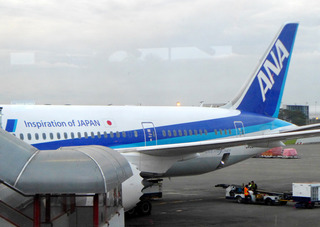 ������Ǥ�売���ܤε��� - �������֣Σȣ���������--ANA BUSINESS CRADLE(787����)�פΥӥ��ͥ����饹