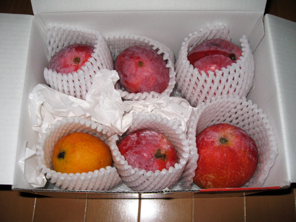 沖縄本島の完熟マンゴーを食す！
