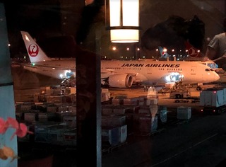 帰国報告 - ジャカルタ赴任後75度目の日本 --日本航空「JL726」便