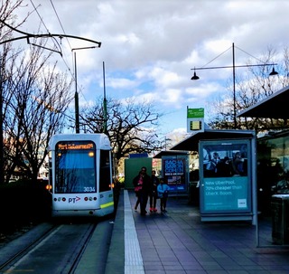 �����������ʪ �����ܥ�󡦥������ȥ�ꥢ