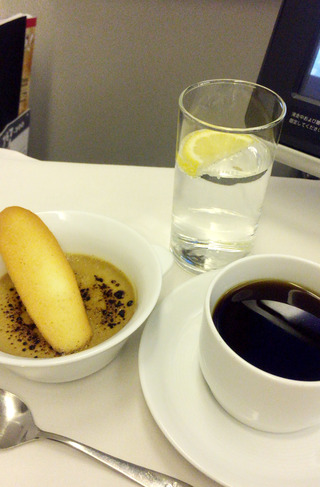 ������Ǥ�壳���ܤε��� - ���ܹҶ���JL729���ؤΥӥ��ͥ����饹