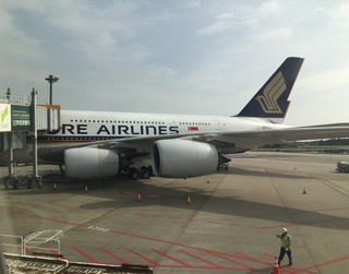 ���㥫�륿��Ǥ�壱�����ܤε��� --���󥬥ݡ���Ҷ��֣ӣѣ������ס��������֣Σȣ������פ��������֣Σȣ���������