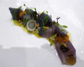 �����椫�鿩�̤���������ȥե�����Andre�ʥ���ɥ�ˡ� �����󥬥ݡ��롦���㥤�ʥ�����