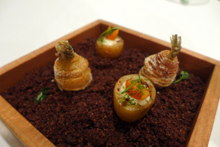 �����椫�鿩�̤���������ȥե�����Andre�ʥ���ɥ�ˡ� �����󥬥ݡ��롦���㥤�ʥ�����