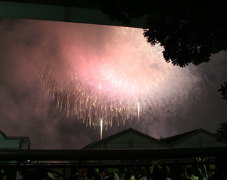 第22回東京湾大華火祭を見る。