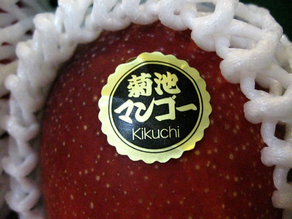 クマモトの高級完熟「キクチマンゴー」を食す!