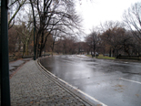 N.Y.のセントラル・パーク(Central park)