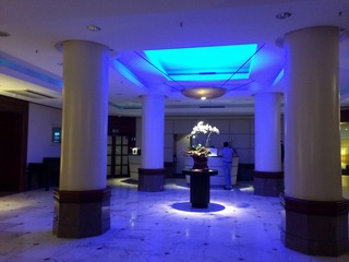 �� ���ǥ����� �ѡ����ۥƥ� (Le Meridien Parkhotel Frankfurt)