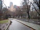 N.Y.のセントラル・パーク(Central park)