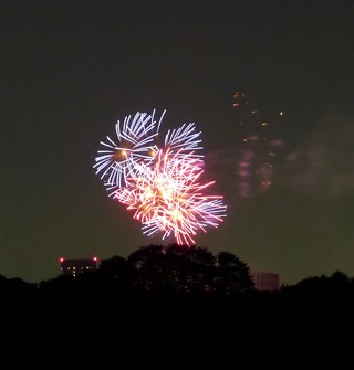 2013 神宮外苑花火大会