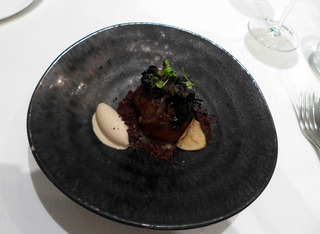 �����椫�鿩�̤���������ȥե�����Andre�ʥ���ɥ�ˡ� �����󥬥ݡ��롦���㥤�ʥ�����