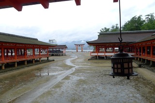 3年ぶりの広島--日本航空「JL1603」便