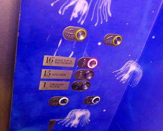 スーパーツリーの最上階のレストラン・バー「SuperTree by IndoChine」 @シンガポール・ガーデンズ・バイ・ザ・ベイ