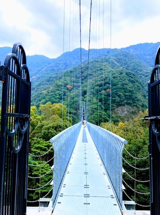 ���ʤ����ϰ� @�ܺ긩����Į