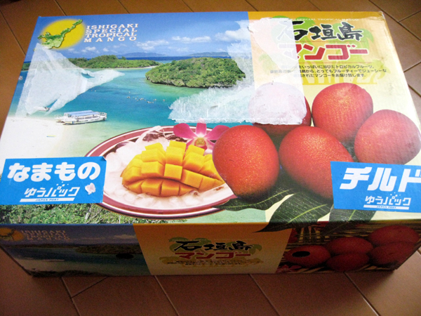 沖縄・石垣島の完熟マンゴーを食す!