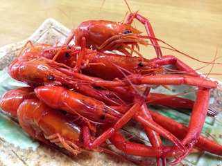 愛媛県内唯一の四万十川「天然鰻専門店」末広・末廣