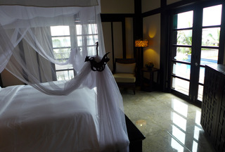 �Х��� �ĥ꡼ �ӥ󥿥� ��BANYAN TREE BINTAN�˵Ҽ����� ������ɥͥ������ӥ󥿥���