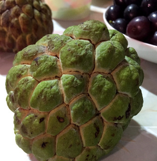 ���ѤΥ���������֤ȱ���