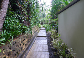 �Х��� �ĥ꡼ �ӥ󥿥� ��BANYAN TREE BINTAN�˻����� ������ɥͥ������ӥ󥿥���