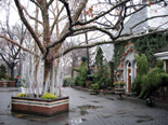 N.Y.のTavern on the Green(タヴァーン・オン・ザ・グリーン)