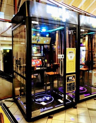 �����������ʪ �����ܥ�󡦥������ȥ�ꥢ