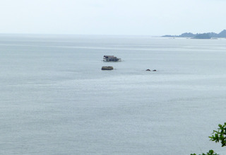 �Х��� �ĥ꡼ �ӥ󥿥� ��BANYAN TREE BINTAN�˵Ҽ��� ������ɥͥ������ӥ󥿥���