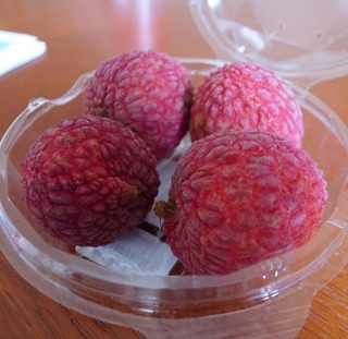 �ܺ껺���饤�� ���ܺ�ʪ����