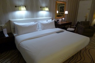 �� ���ǥ����� �ѡ����ۥƥ� (Le Meridien Parkhotel Frankfurt)