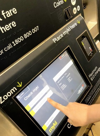 �����������ʪ �����ܥ�󡦥������ȥ�ꥢ