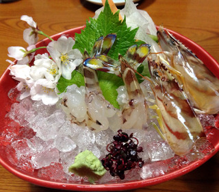 地元っ子も通う讃岐うどん「なかむらうどん」 @香川・丸亀