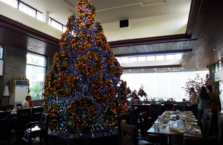�ܾ�Υϥ��ϥ����ڤ����Josephine's Tagaytay ���ե���ԥ󡦥������ƥ�