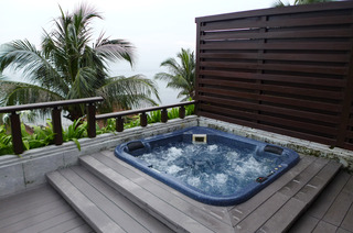 �Х��� �ĥ꡼ �ӥ󥿥� ��BANYAN TREE BINTAN�˵Ҽ��� ������ɥͥ������ӥ󥿥���