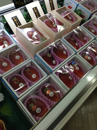 宮崎空港--日本航空「JL1886」便