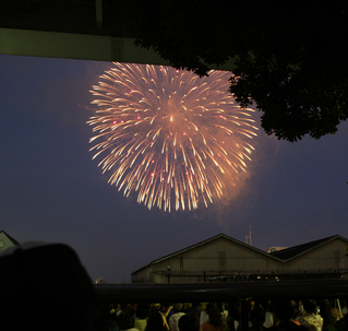 第22回東京湾大華火祭を見る。
