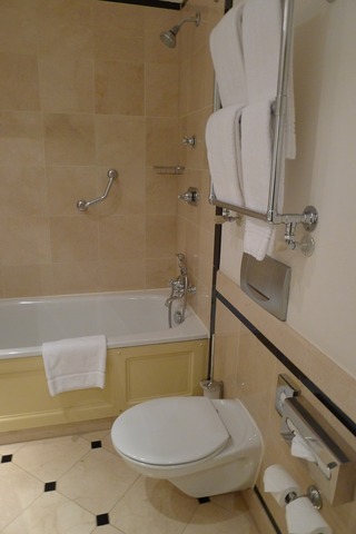 �� ���ǥ����� �ѡ����ۥƥ� (Le Meridien Parkhotel Frankfurt)